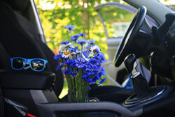 Spring flowers in vehicle